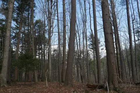 tbd Rush Creek Rd, Glade Spring, VA 24340 photo 66