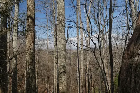 tbd Rush Creek Rd, Glade Spring, VA 24340 photo 40