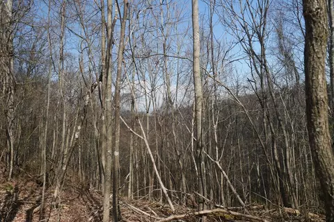 tbd Rush Creek Rd, Glade Spring, VA 24340 photo 39