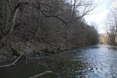 tbd Rush Creek Rd, Glade Spring, VA 24340 photo 34