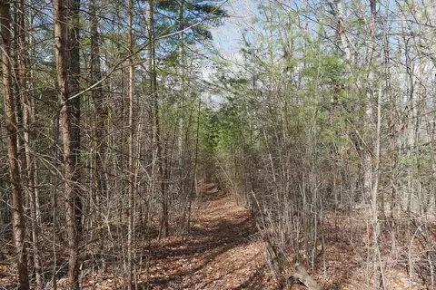 tbd Rush Creek Rd, Glade Spring, VA 24340 photo 43