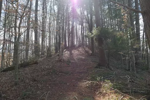 tbd Rush Creek Rd, Glade Spring, VA 24340 photo 61