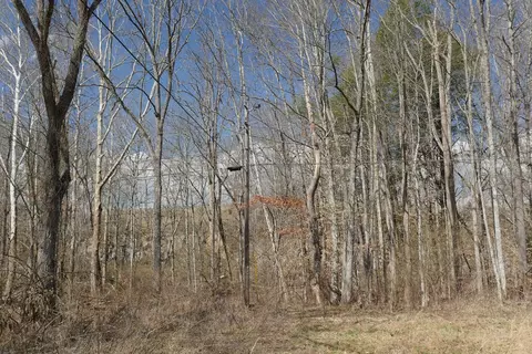 tbd Rush Creek Rd, Glade Spring, VA 24340 photo 19