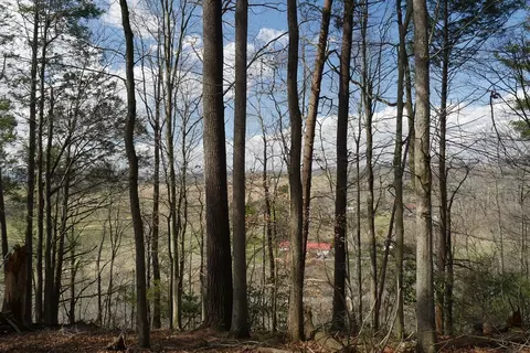 tbd Rush Creek Rd, Glade Spring, VA 24340 photo 56