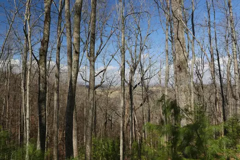 tbd Rush Creek Rd, Glade Spring, VA 24340 photo 41
