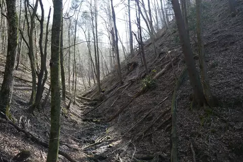 tbd Rush Creek Rd, Glade Spring, VA 24340 photo 35