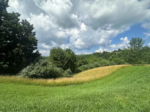 tbd York Ridge Ests, Mouth Of Wilson, VA 24363