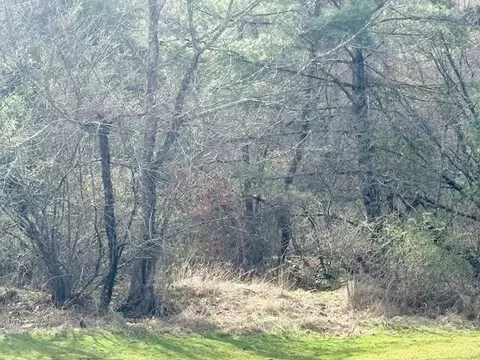 tbd Martin Rd, Max Meadows, VA 24360