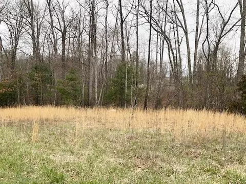 tbd Della Ln, Austinville, VA 24312