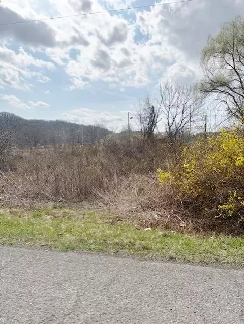 tbd Ramsey Mountain Rd, Max Meadows, VA 24360