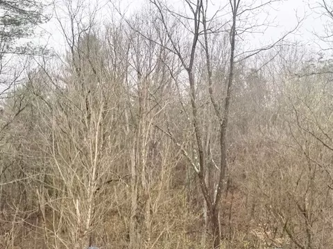 Other - 413 Major Grahams Rd, Max Meadows, VA 24360 photo 1 of 8