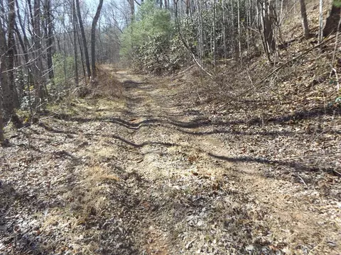 tbd Pole Bridge Rd, Stuart, VA 24171