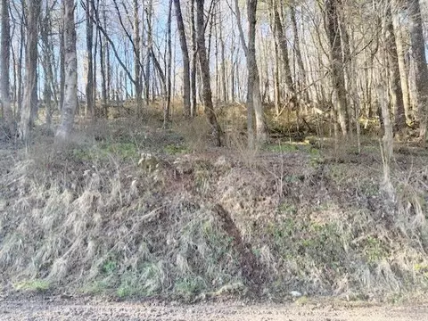 tbd Old King Rd, Rural Retreat, VA 24368