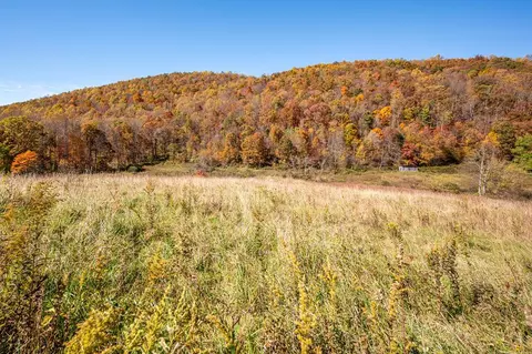 971 Phadettia Rd, Willis, VA 24380