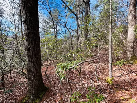 tbd Chalet Dr, Fancy Gap, VA 24328 photo 9