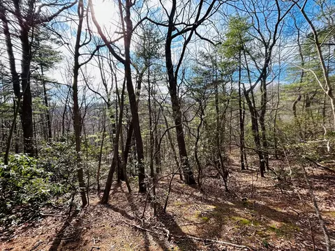 tbd Chalet Dr, Fancy Gap, VA 24328 photo 2