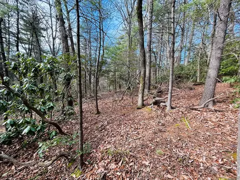 tbd Chalet Dr, Fancy Gap, VA 24328 photo 12