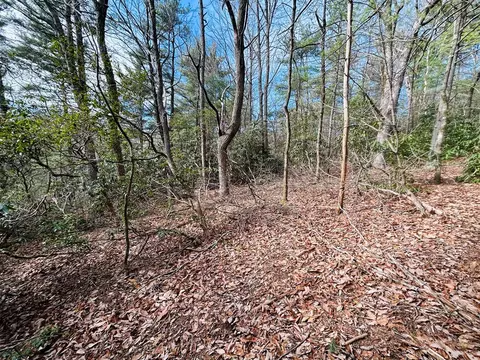 tbd Chalet Dr, Fancy Gap, VA 24328 photo 10