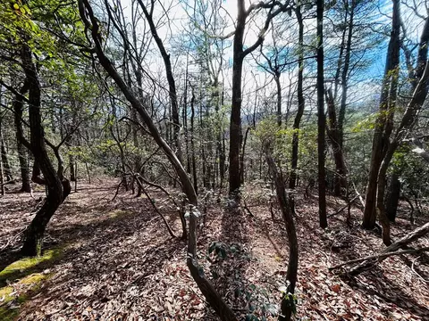 tbd Chalet Dr, Fancy Gap, VA 24328