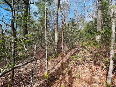 tbd Chalet Dr, Fancy Gap, VA 24328 photo 8