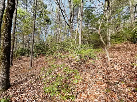tbd Chalet Dr, Fancy Gap, VA 24328 photo 13