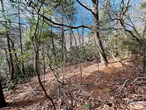 tbd Chalet Dr, Fancy Gap, VA 24328 photo 7