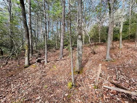 tbd Chalet Dr, Fancy Gap, VA 24328 photo 11