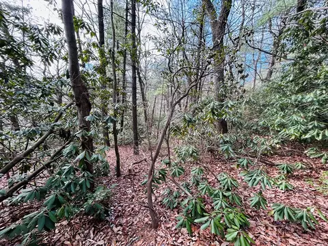 tbd Chalet Dr, Fancy Gap, VA 24328 photo 14