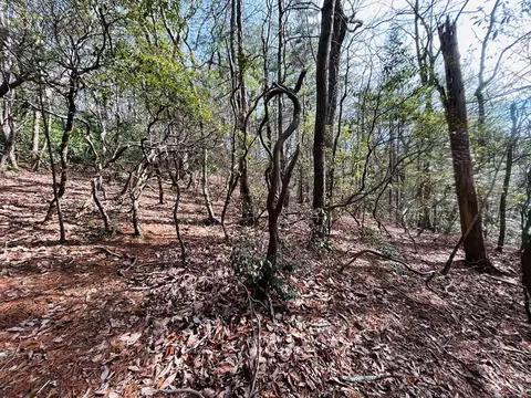 tbd Chalet Dr, Fancy Gap, VA 24328 photo 6