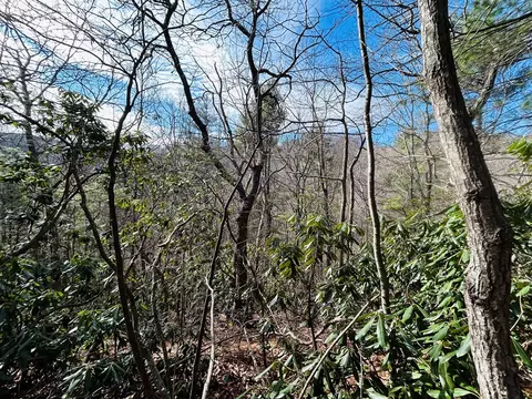 tbd Chalet Dr, Fancy Gap, VA 24328 photo 5