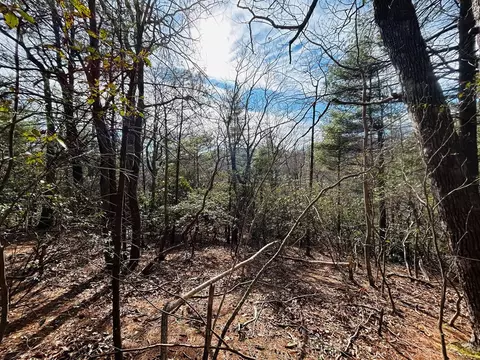 tbd Chalet Dr, Fancy Gap, VA 24328 photo 4