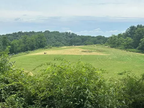 29 31 Ac Ridge Top Dr, Rural Retreat, VA 24368