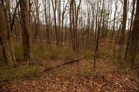 lot356 Scotch Pine Dr, Copper Hill, VA 24079