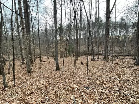 tbd Meridian Ln, Hillsville, VA 24343