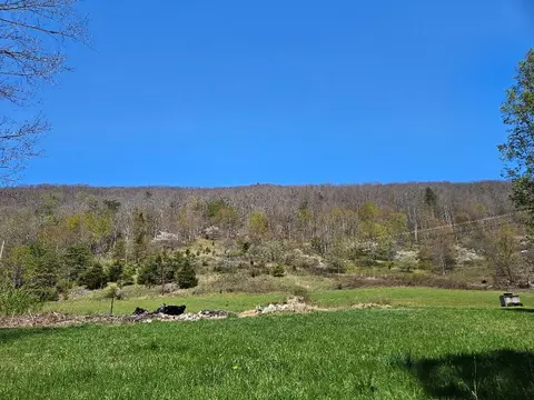 tbd Bebee Ln, Chilhowie, VA 24319 photo 5