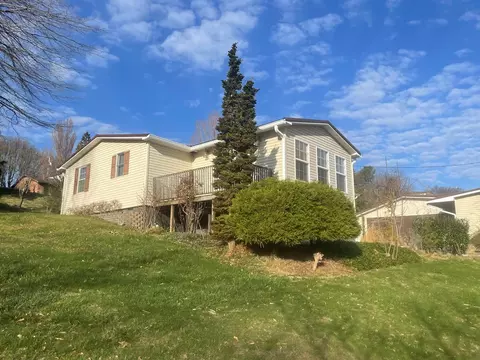 Exterior - 143 Elm St, Pounding Mill, VA 24637 photo 5 of 7