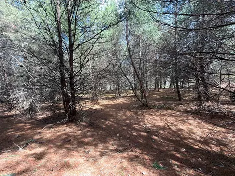 tbd Pine Branch Rd, Laurel Fork, VA 24352 photo 16
