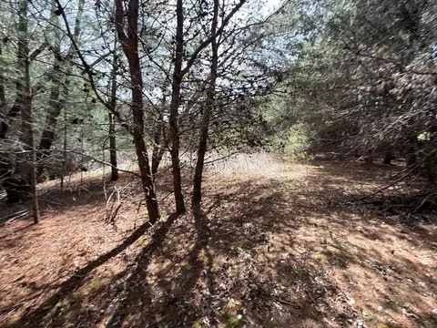 tbd Pine Branch Rd, Laurel Fork, VA 24352 photo 13