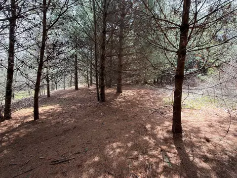 tbd Pine Branch Rd, Laurel Fork, VA 24352 photo 11