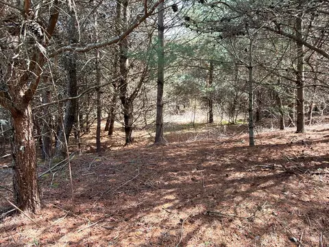 tbd Pine Branch Rd, Laurel Fork, VA 24352 photo 18