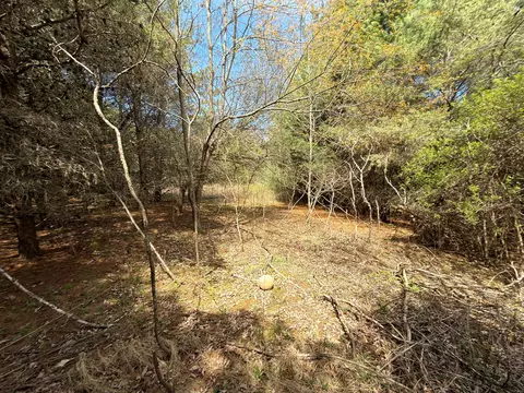 tbd Pine Branch Rd, Laurel Fork, VA 24352 photo 10