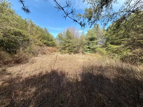 tbd Pine Branch Rd, Laurel Fork, VA 24352 photo 6