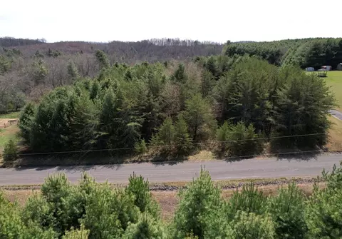 tbd Pine Branch Rd, Laurel Fork, VA 24352 photo 4