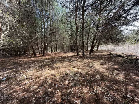 tbd Pine Branch Rd, Laurel Fork, VA 24352 photo 17