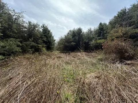 tbd Pine Branch Rd, Laurel Fork, VA 24352 photo 9