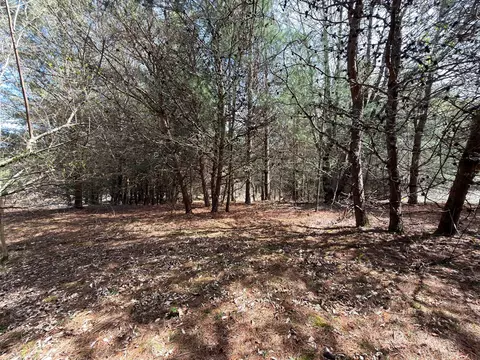 tbd Pine Branch Rd, Laurel Fork, VA 24352 photo 7