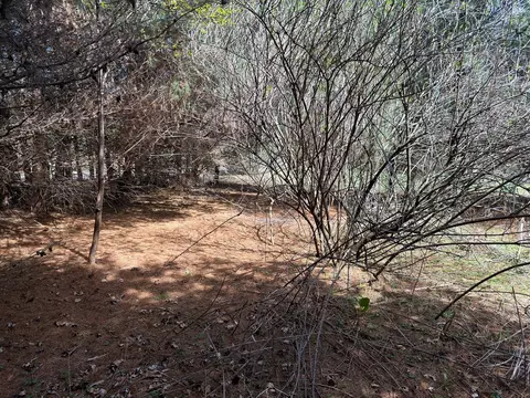 tbd Pine Branch Rd, Laurel Fork, VA 24352 photo 8