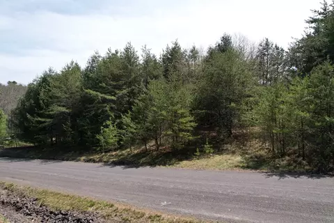 tbd Pine Branch Rd, Laurel Fork, VA 24352 photo 19