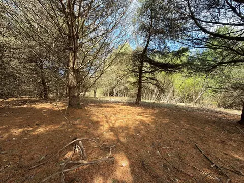 tbd Pine Branch Rd, Laurel Fork, VA 24352 photo 12