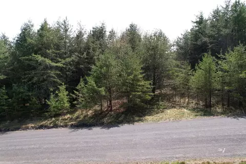 tbd Pine Branch Rd, Laurel Fork, VA 24352 photo 5